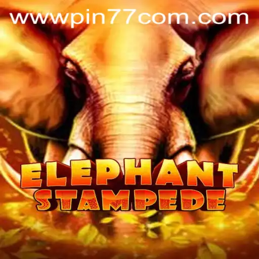 Unleashing the Thrills of ElephantStampede: An In-Depth Look at PIN77.COM's Latest Game Sensation
