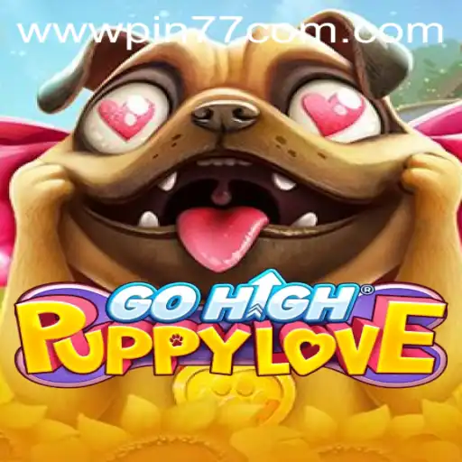 GoHighPuppyLove: An Exciting Adventure with PIN77.COM